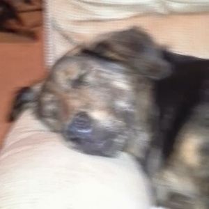 Meet your Posher, Greg